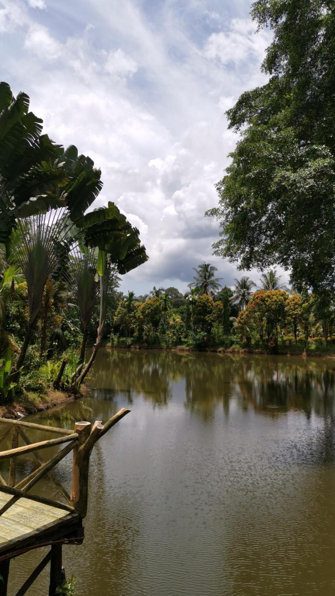 Sepilok Jungle Resort Esterno foto